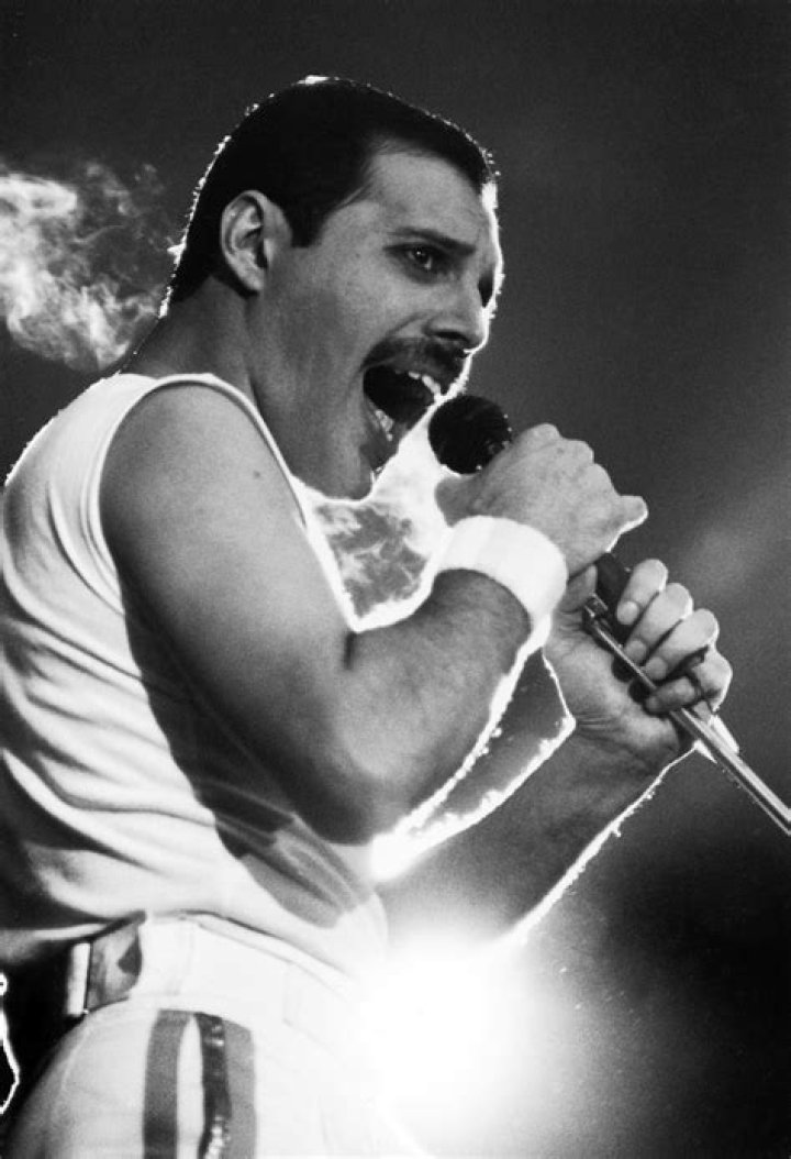 10+ Rare Pics Of Freddie Mercury And His Boyfriend From 1980s Reveal