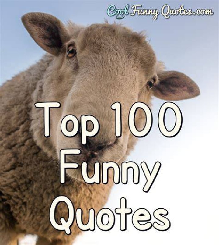 100 Funny Quotes About the Youngest Child That Will Brighten Your Day