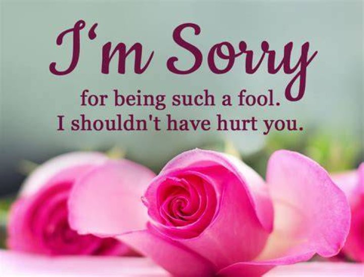 100+ Sorry Messages For Friend Apology Quotes WishesMsg
