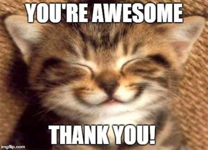 101 Funny Thank You Memes to Say Thanks for a Job Well Done Funny