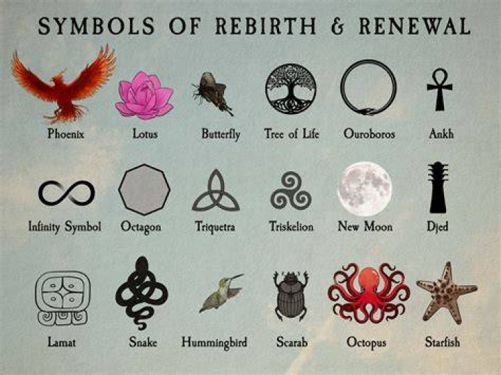 12 Symbols of Rebirth Rebirth tattoo, Rebirth symbol, Symbolic tattoos