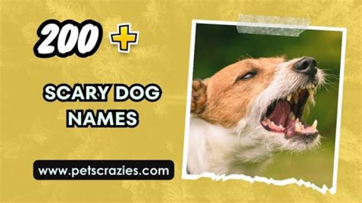 200 best scary dogs images on Pinterest Scary dogs, Big dogs and Cerberus