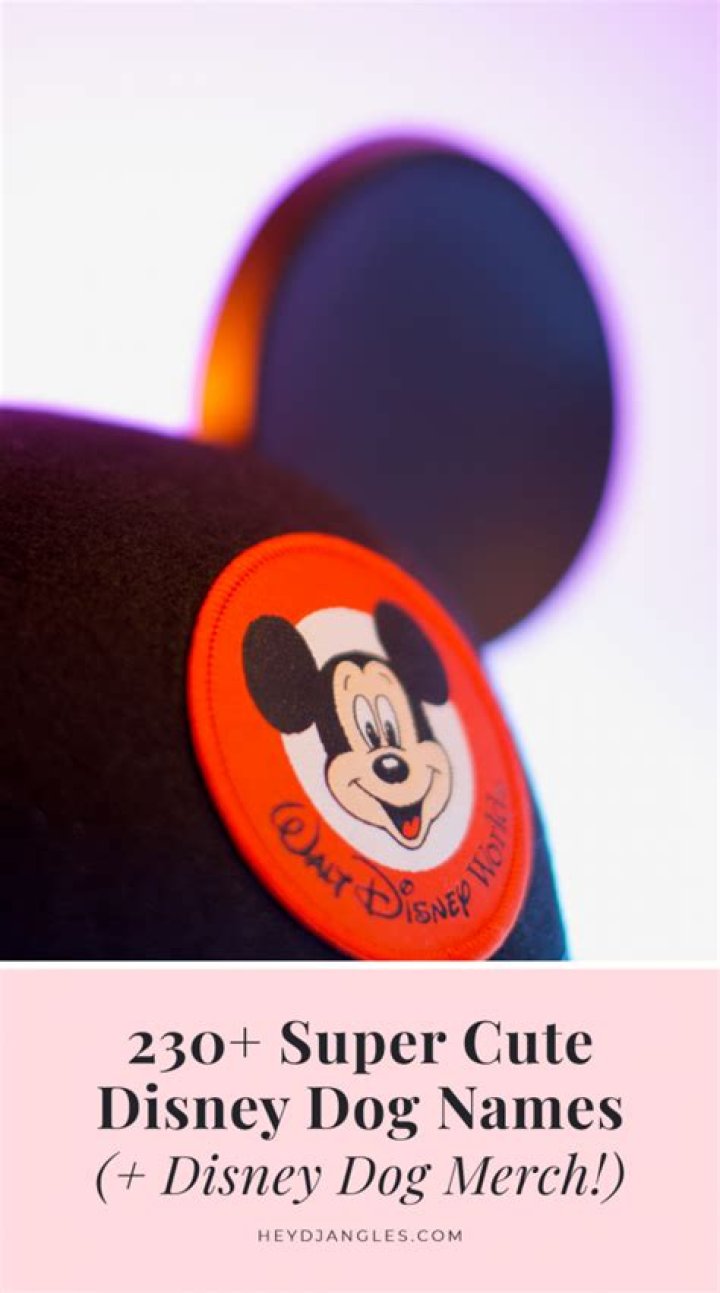 230+ Super Cute Disney Dog Names Hey, Djangles.