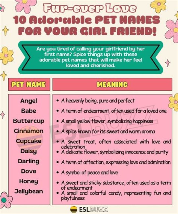30 Cheesy Pet Names For Couples Mutt Meow