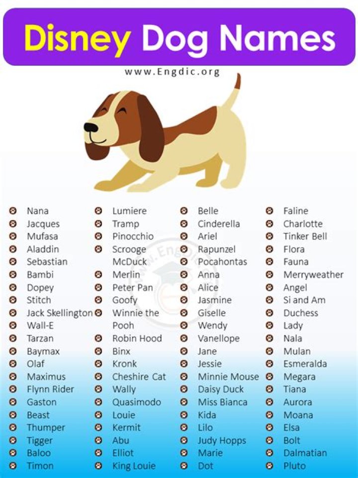 30 Disney Names For Pets Male Mutt Meow
