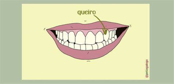 4 nomes para queiro no Peto galego