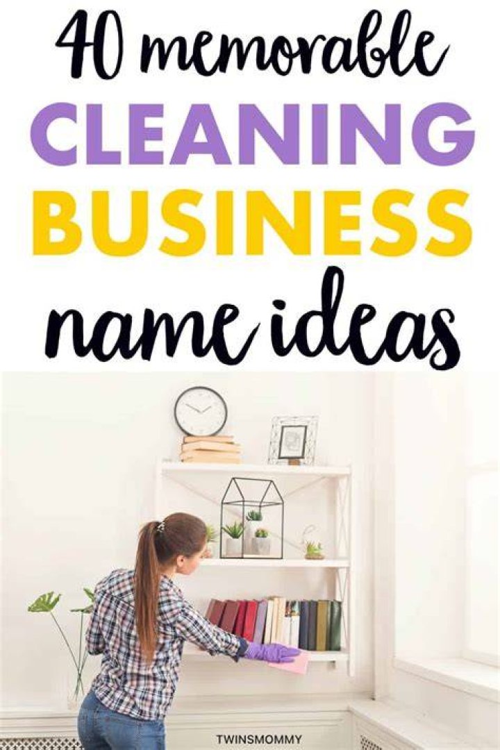 40 Memorable Cleaning Business Name Ideas Twins Mommy