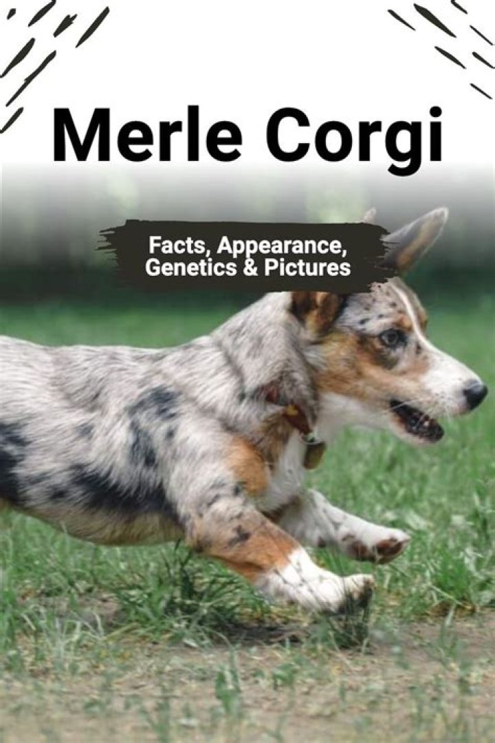 42 Twisted Facts About Merle Oberon, Hollywood’s Dark Angel