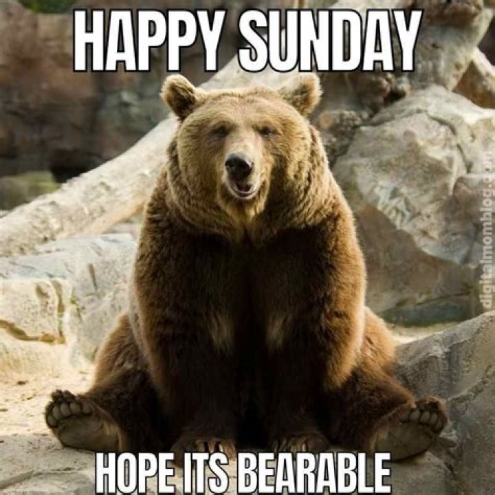 50+ Funny Happy Sunday Memes That Are Perfect for Lazy Sundays
