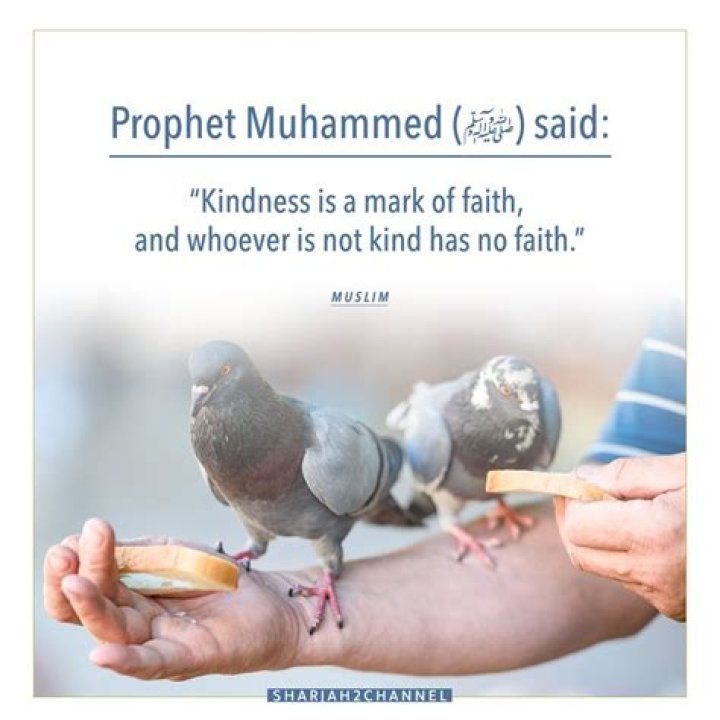 6 Islamic Quotes About Kindness Muslim Hands Canada
