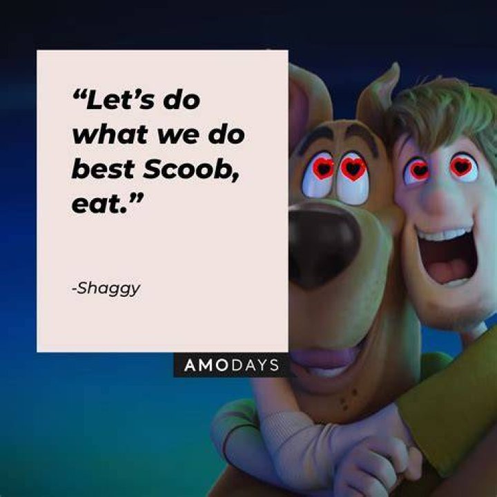 70 Greatest ScoobyDoo Quotes That Bring On The Nostalgia