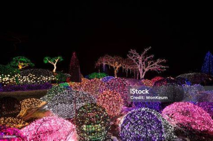 8 Reportcard 이미지, 스톡 사진 및 벡터 Shutterstock