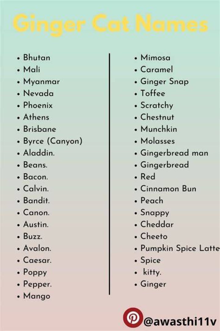 80 Best Ginger Cat Names The Paws