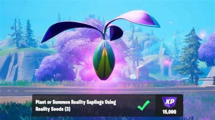 A Reality Seed location in Fortnite