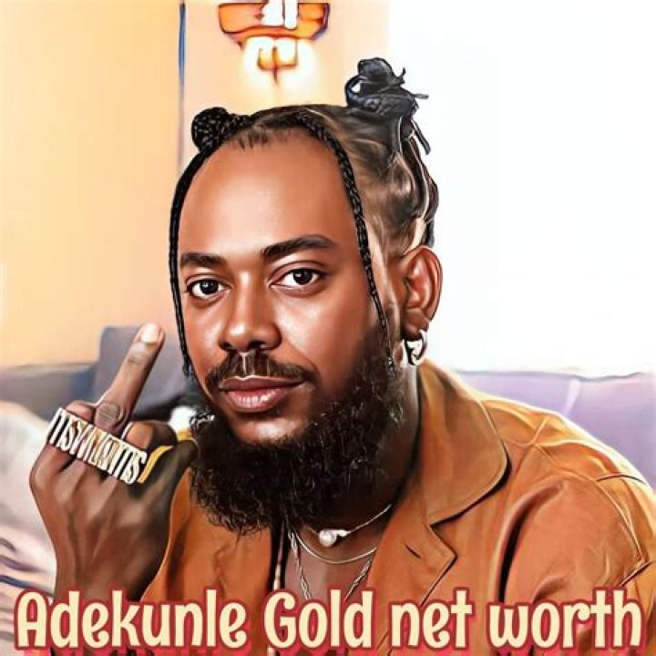 Adekunle Gold Net Worth 2024 Bio, Age, Career, Cars, and House.