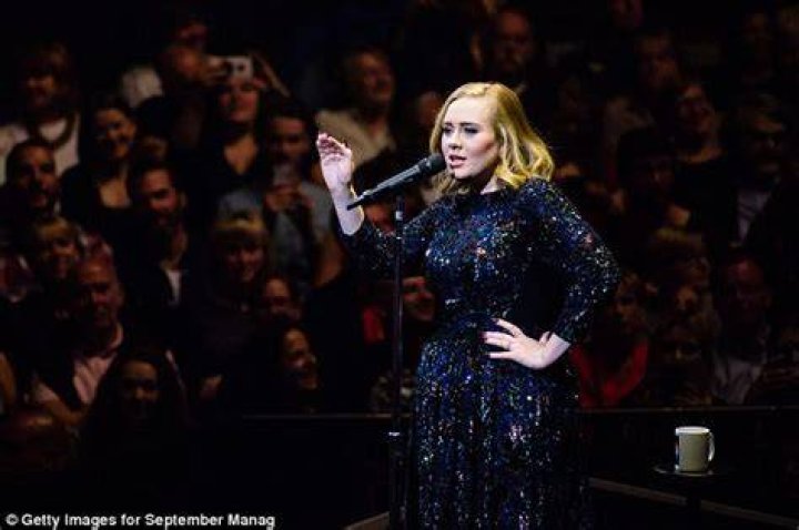 Adele Cancels All Pyrotechnics At Her Concerts Following Accident