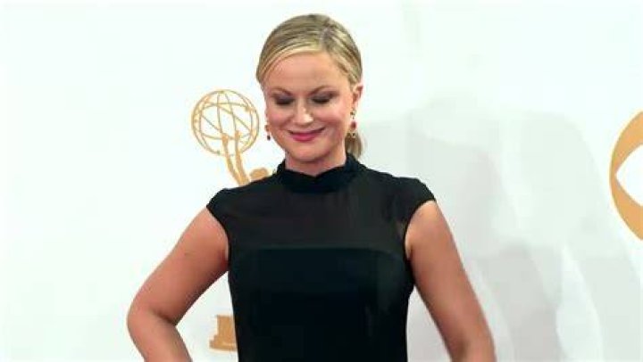 Amy Poehler breaks her silence about split from husband Will