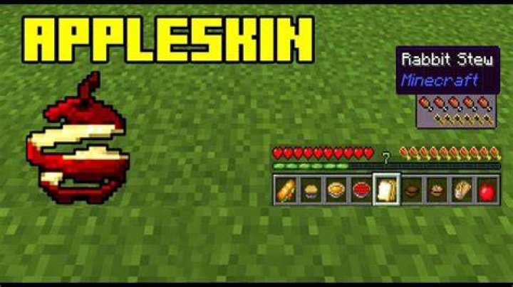 AppleSkin mod showcased in Minecraft