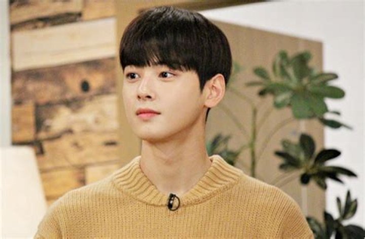 ASTRO&rsquo;s Eunwoo Was Asked If He Watches Porn... And His Facial