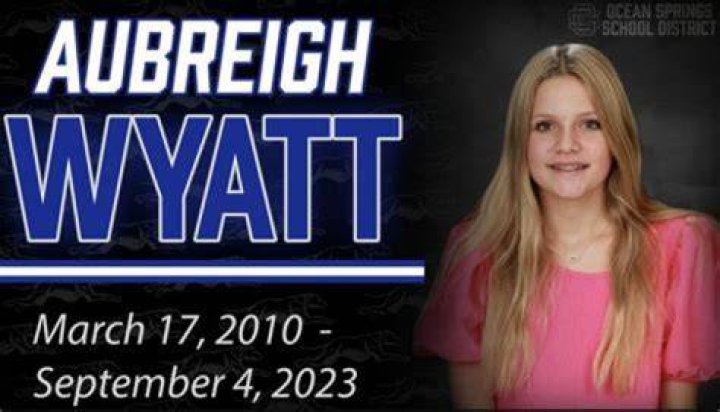 Aubreigh Wyatt Understanding The Impact Of Bullying Through Text Messages