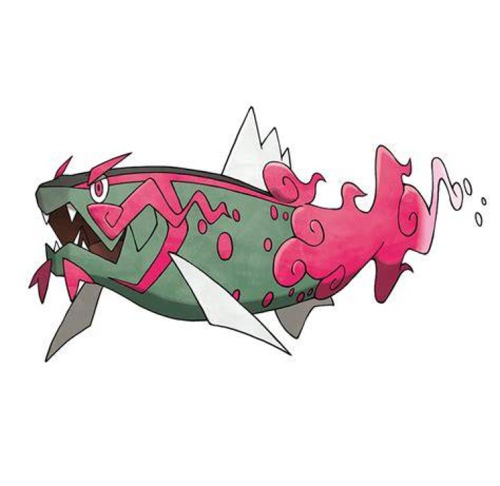 Basculegion Pokemon