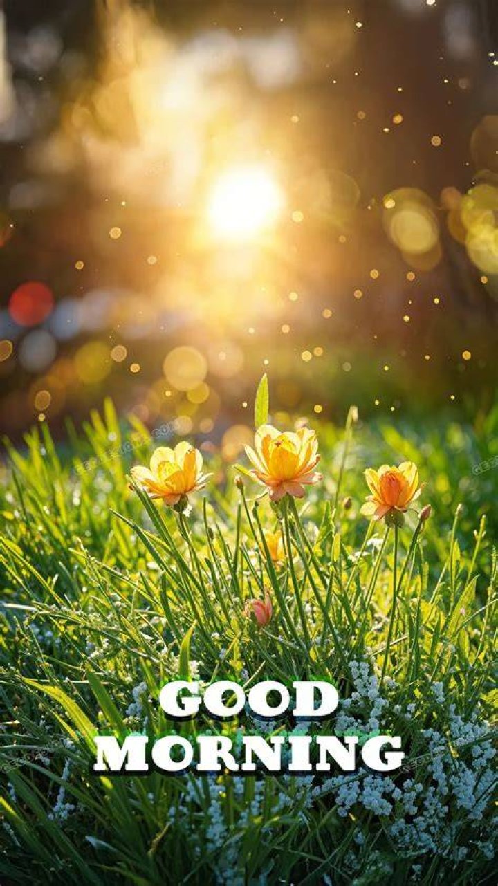 Beautiful Pictures of Good Morning Wishes. Big collection