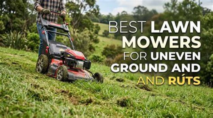 Best Mowers for Uneven Ground The 5 Options for You Evergreen Seeds
