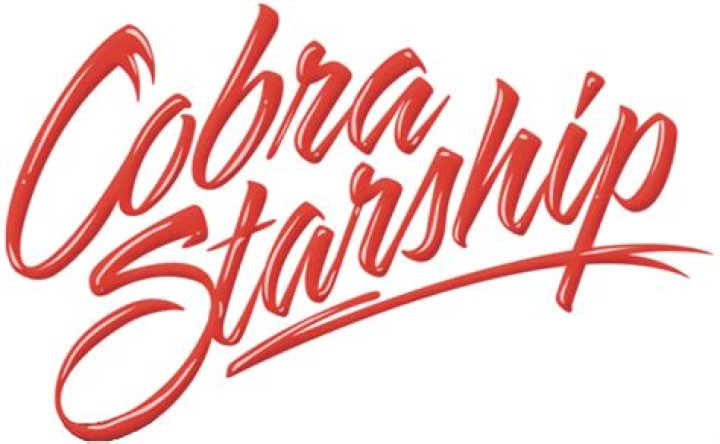BEVDIVISION Cobra Used the Starship Dashboard