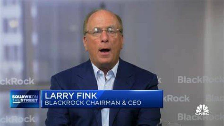 BlackRock CEO Larry Fink Wants to Democratize Crypto Bloomberg