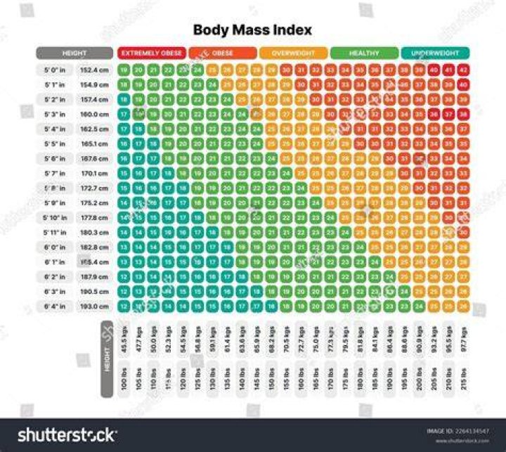 Body Mass Index Bmi Nutrition Division SexiezPix Web Porn