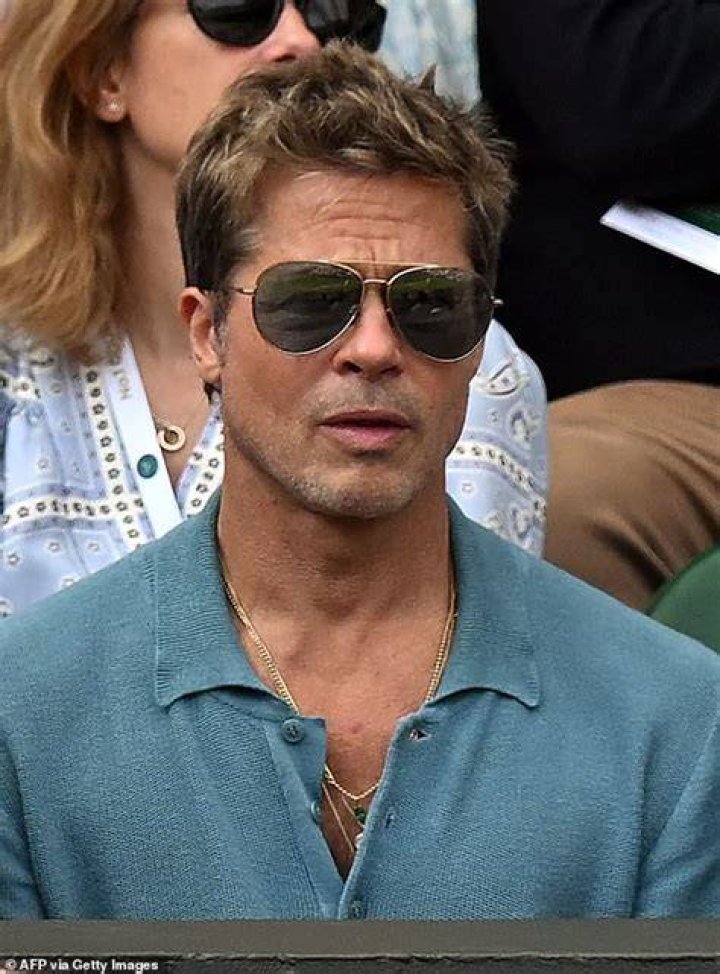 Brad Pitt looks MUCH slimmer in shock new pictures after split from