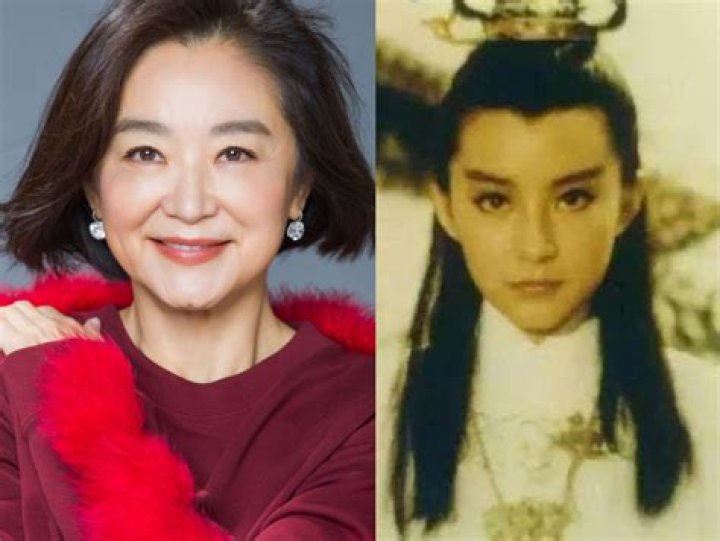 Brigitte Lin Chinghsia Quells Divorce and Alimony Rumours Through a