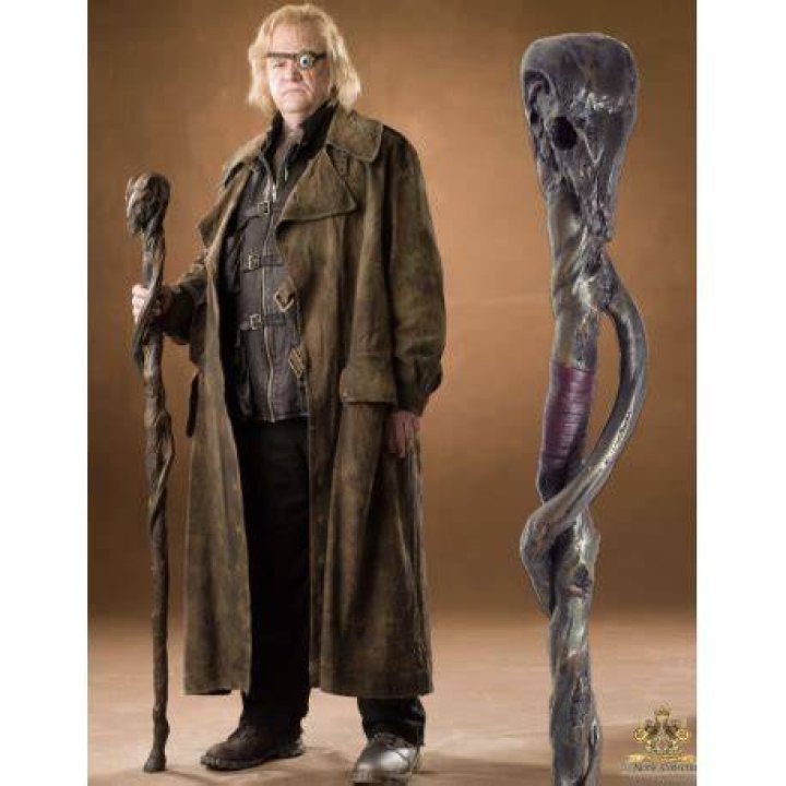 CategoryBeauxbatons staff Harry Potter Wiki Fandom