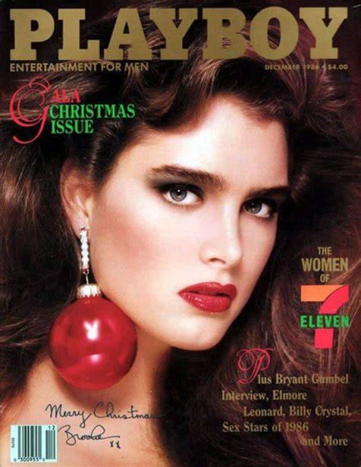 Celebrities on Playboy Covers (15 pics)