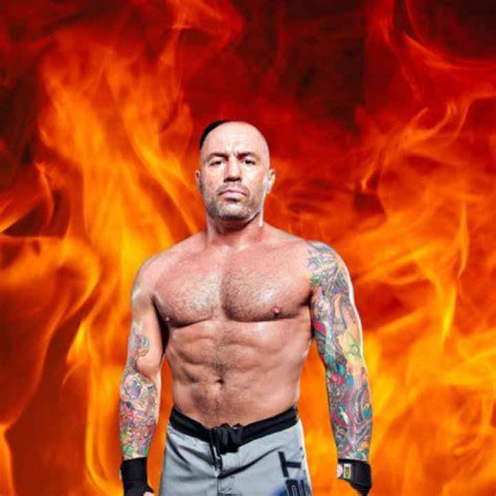 Celebrity Astrology Joe Rogan — Balanced Elements