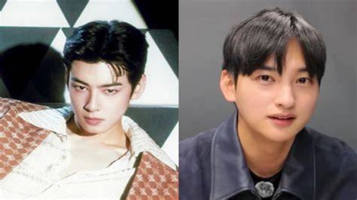 Cha Eun Woo Debut Age