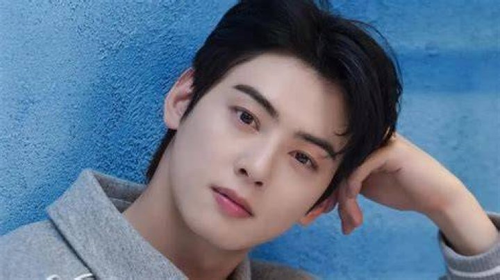 Cha Eun Woo&rsquo;s Agency Releases Strict Guidelines Regarding Actor&rsquo;s
