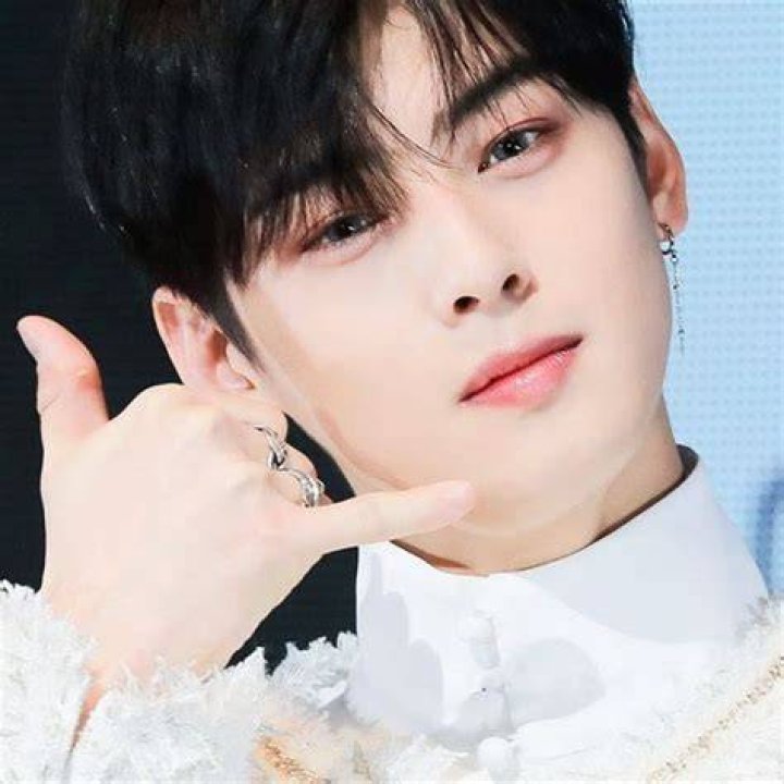Cha Eunwoo Wiki Age, Height, Wife, Brother, Net worth, Edu.