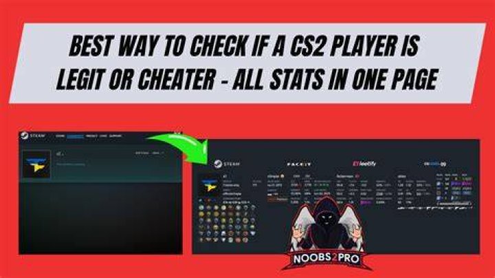 cheater in cs2