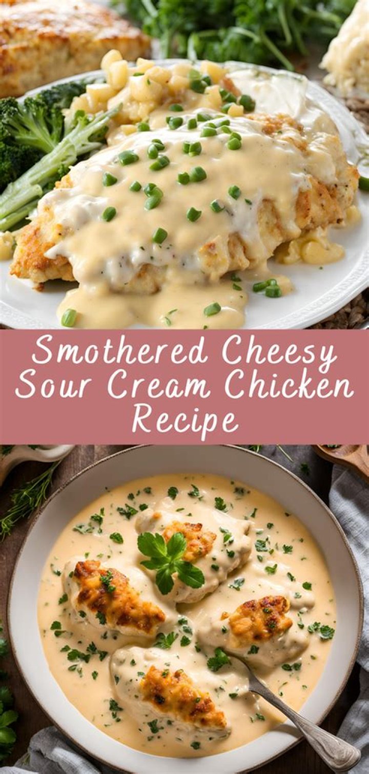 Cheesy Sour Cream The Collective NZ