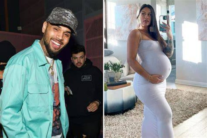Chris Brown Expecting Baby No. 3 With ExGirlfriend Diamond Brown