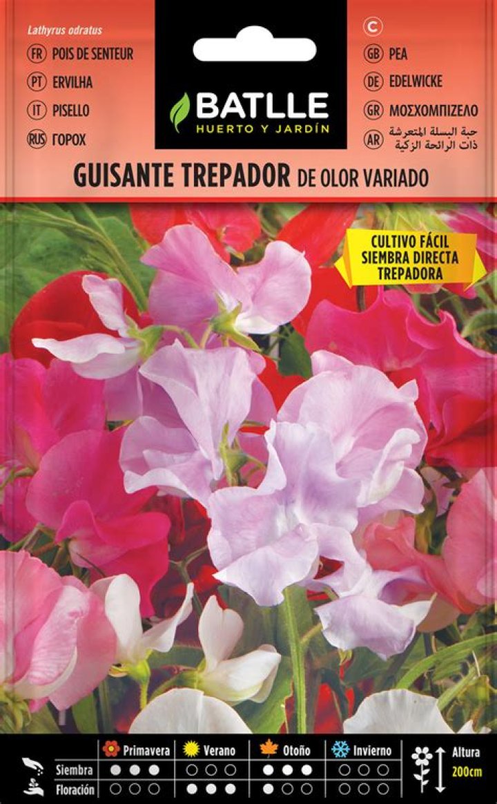 Climbing Sweet Pea Semillas Batlle Huerto y Jard&iacute;n