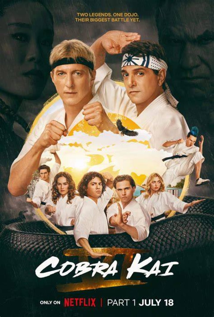 Cobra Kai V Poster A New Era of No Mercy Cobra Kai Photo