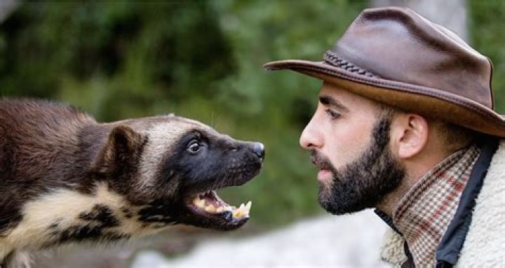 Coyote Peterson vrouw, vermogen, lengte, tattoo, afkomst 2023 Taddlr