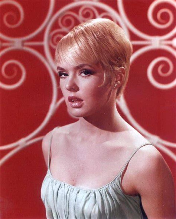 Custom Clothes Joey Heatherton