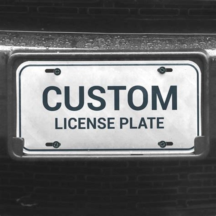 Custom License Plate You Choose Between 50 State and Text Etsy