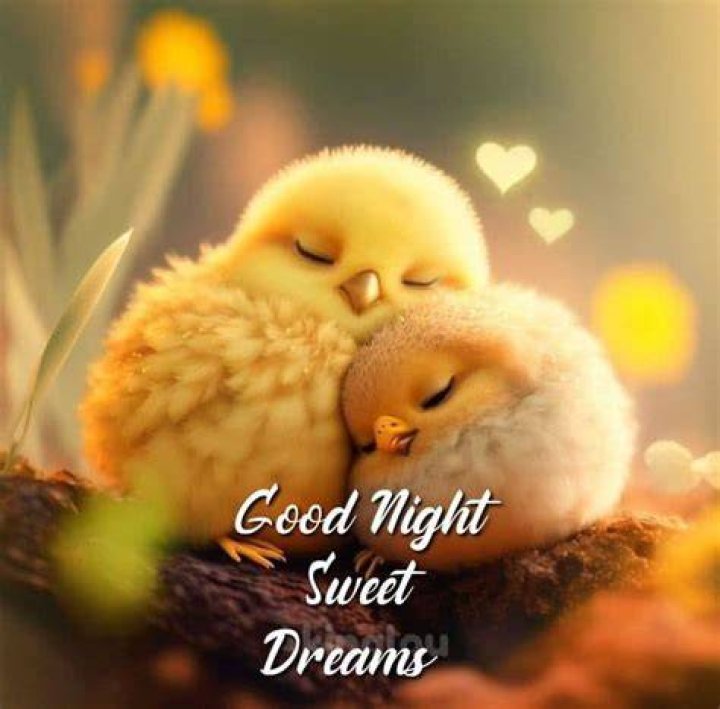 Cute Good Night Sweet Dreams Quote Pictures, Photos, and Images for