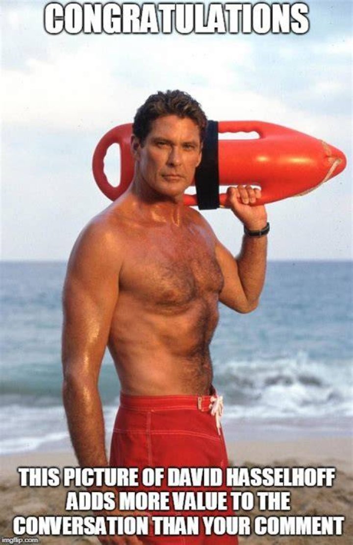 David Hasselhoff Memes Imgflip