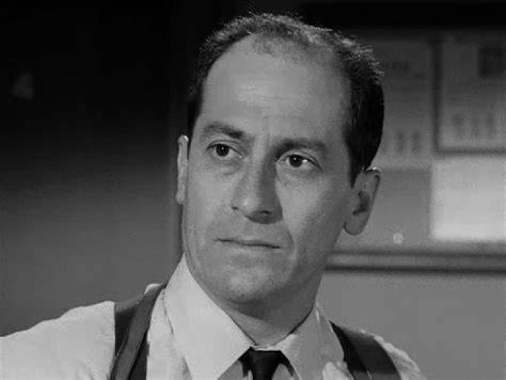 David Sheiner in a 1966 episode of The Fugitive, 'Shadow of the Swan