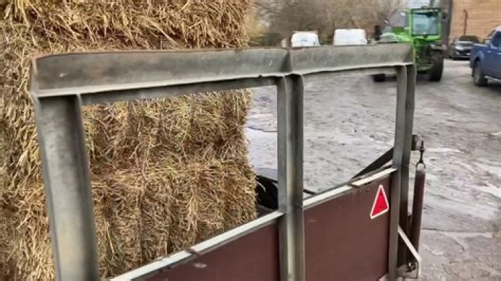Day 252 Ollyblogs LockDownLearning Olly Blogs Agricontract The
